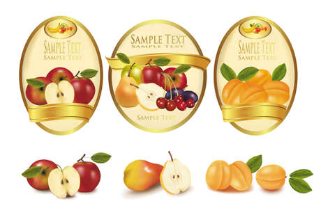 Three labels with different sorts of fruit. Vector. のイラスト素材