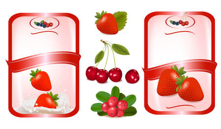 Two red labels with berries. Vector illustration. のイラスト素材