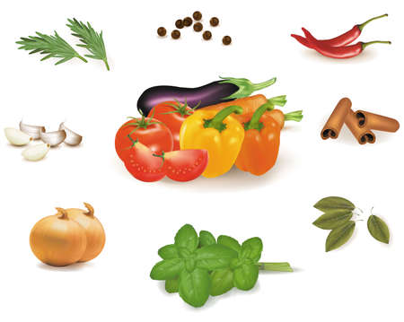 Spice collection isolated on white background のイラスト素材
