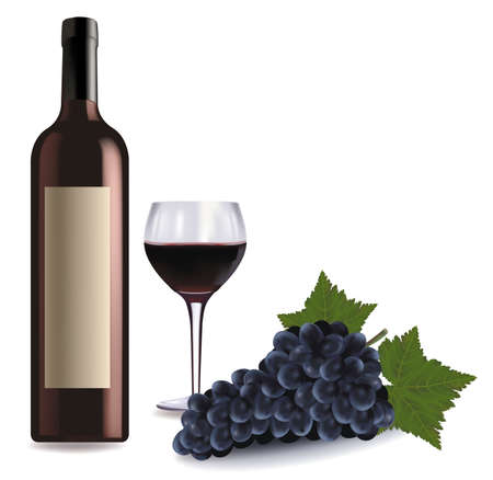 A wine bottle and glass of wine and some grapes のイラスト素材
