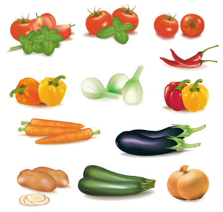 The big colorful group of vegetables のイラスト素材