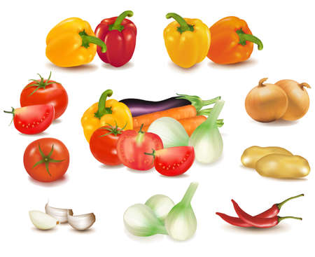 The colorful group of vegetables のイラスト素材