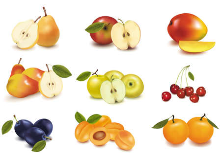 Group with different sorts of fruit のイラスト素材