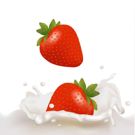 Red strawberry fruits falling into the milky splash. illustration のイラスト素材