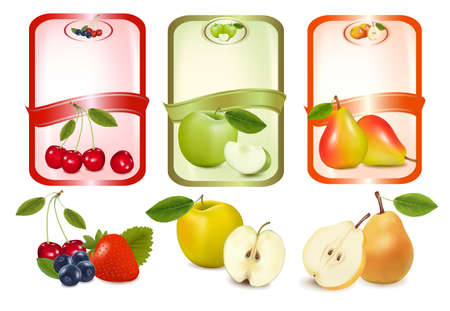 Three labels with berries and fruits. のイラスト素材