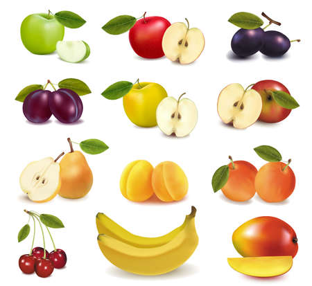 Group with different sorts of fruit. Vector. のイラスト素材