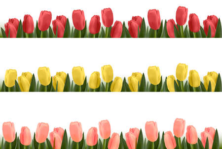 Tree flower design borders isolated on white. Vector. のイラスト素材