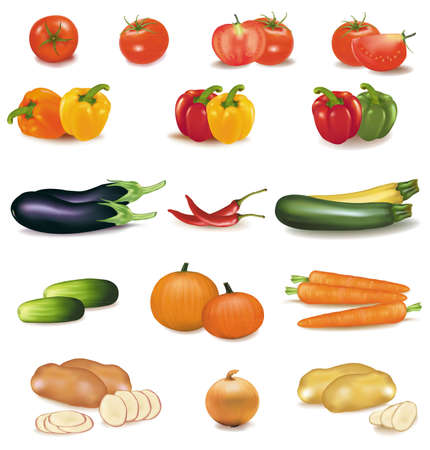 The big colorful group of vegetables. Photo-realistic vector. のイラスト素材