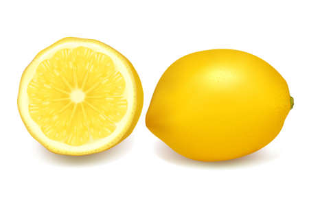 Fresh lemons. Vector illustration. のイラスト素材
