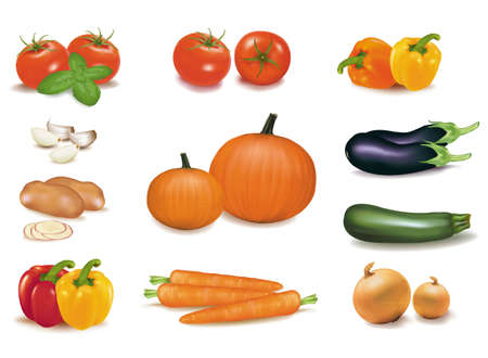 The big colorful group of vegetables. Photo-realistic vector. のイラスト素材