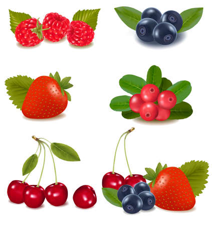 Group of cranberries, blueberries, cherries, raspberries wild strawberries with plant leaves. Photo-realistic vector illustration. のイラスト素材