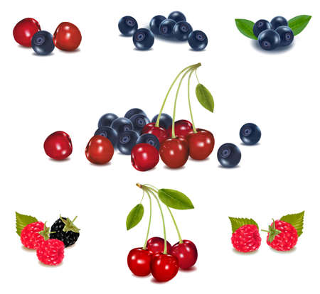 Photo-realistic vector illustration. Group of berries. のイラスト素材