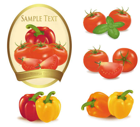 Gold label with different sorts of vegetables. Vector. のイラスト素材