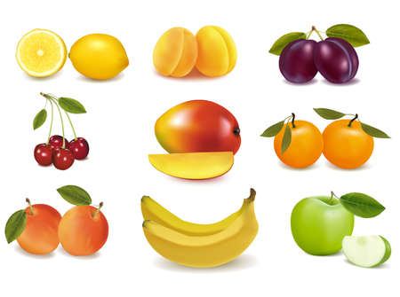 Group with different sorts of fruit. Vector. のイラスト素材