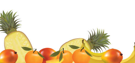 Exotic fruit design border isolated on white. Vector. のイラスト素材