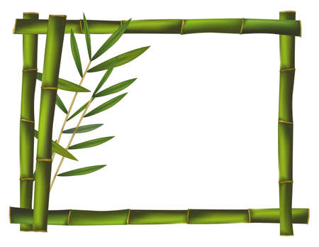Green bamboo frame made of stems. Vector. のイラスト素材
