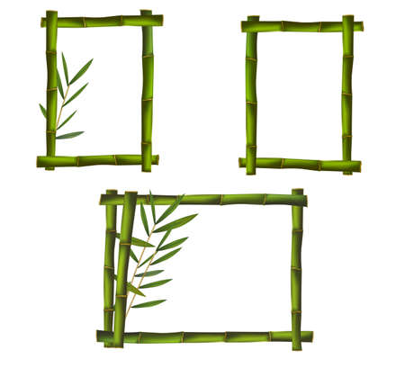 Green bamboo frames. Vector. のイラスト素材