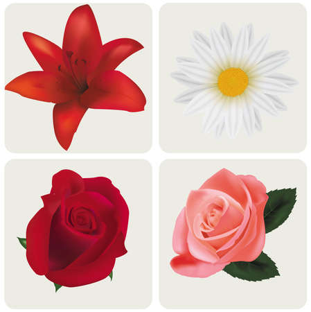 Four beautiful flowers. のイラスト素材