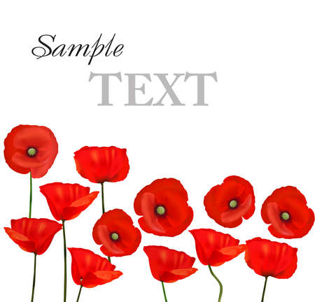 Background with beautiful red poppies. のイラスト素材