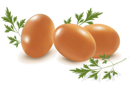 Three eggs with parsley. のイラスト素材