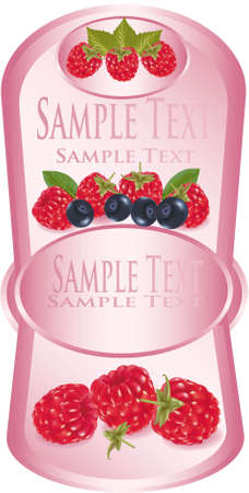 Pink label with group of fruit のイラスト素材