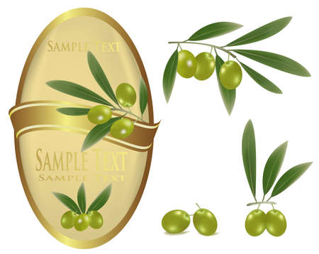 Yellow label with green olives and a ribbon. のイラスト素材