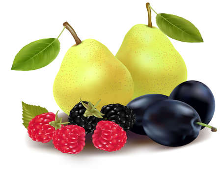 Green pears, plums, raspberries and blackberries. のイラスト素材