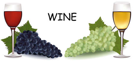 Two glasses of wine and grapes. のイラスト素材
