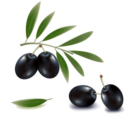 Black olives with leaves. のイラスト素材