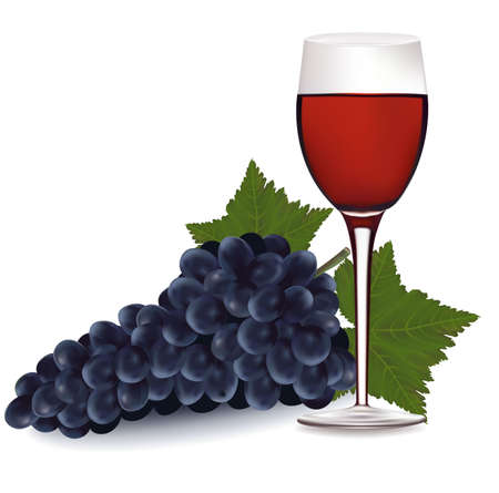 Glass of red wine and a grapes with leaf. のイラスト素材