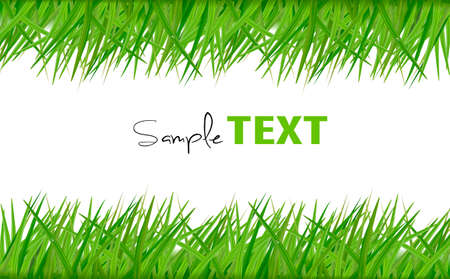 Frame with green grass. Vector. のイラスト素材
