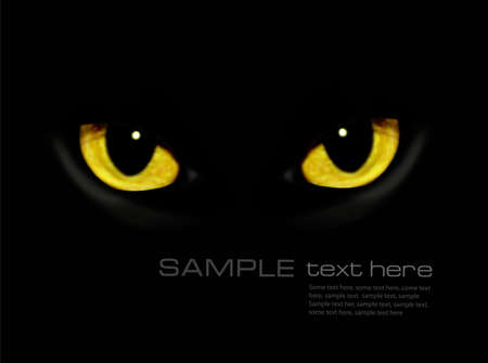Cat eyes in dark night  Vector background のイラスト素材