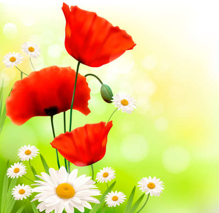 Spring background with red poppy and daisy  Vectorのイラスト素材