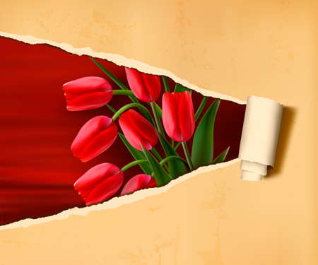 Flower background with old ripped paper  Vector illustration のイラスト素材