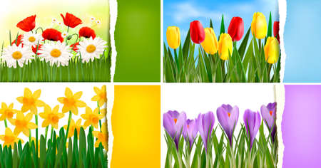 Set of nature backgrounds with colorful spring and summer flowers and ripped paper  Vector のイラスト素材