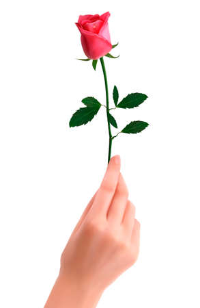 Hand holding red rose のイラスト素材