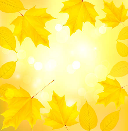 Autumn background with leaves のイラスト素材