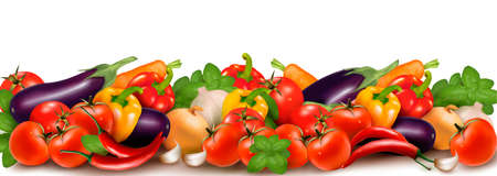 Banner made of fresh colorful vegetables  illustration のイラスト素材