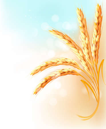 Ears of wheat in front of blue skyのイラスト素材