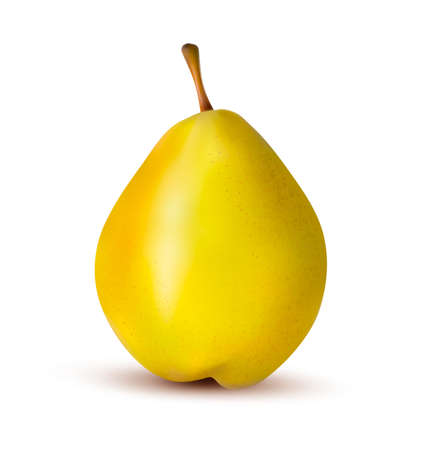 Rpe pear isolated on white.のイラスト素材