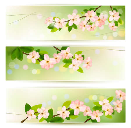 Three spring banners with blossoming tree brunch with spring flowers. Vector illustration.のイラスト素材