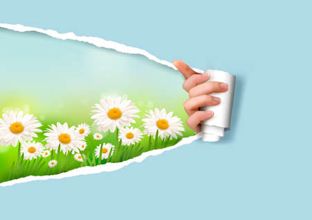 Nature background with flowers and ripped paperのイラスト素材