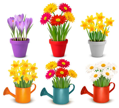 Collection of spring and summer colorful flowers in pots and watering can  のイラスト素材