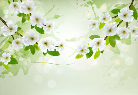 Nature background with white blossoming branchesのイラスト素材