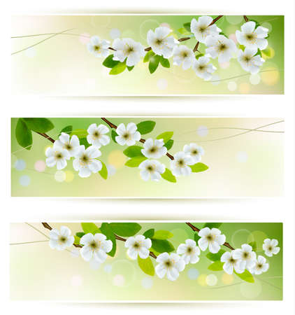 Three banners with blossoming tree branches illustration のイラスト素材