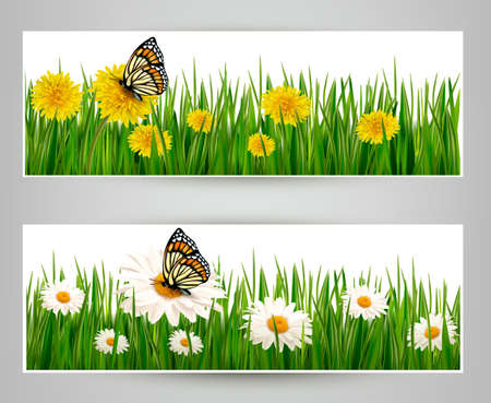 Two banners with butterflies and flowers. のイラスト素材