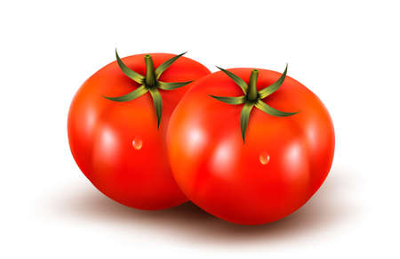 Tomatoes isolated on on white background. Photo-realistic vector illustration. のイラスト素材
