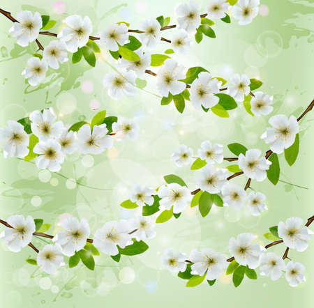 Nature background with blossoming tree branches. Vector illustration. のイラスト素材