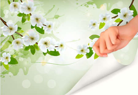 Nature background with blossoming tree brunch and flowers and hand. Vector illustration. のイラスト素材