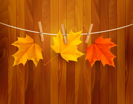 Autumn background with leaves illustration.のイラスト素材